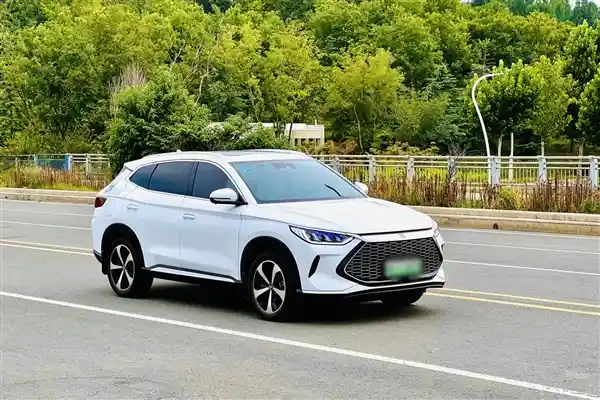 比亚迪李云飞怒斥：那些靠贬低他人博关注的企业，智商与格局都输了！