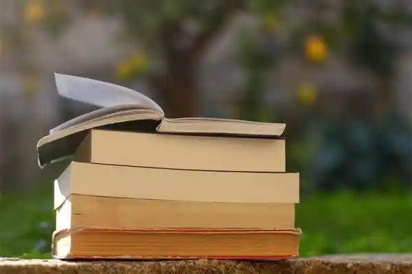 新高考改革再升级：29省联动，周一至周二全国聚焦教育变革