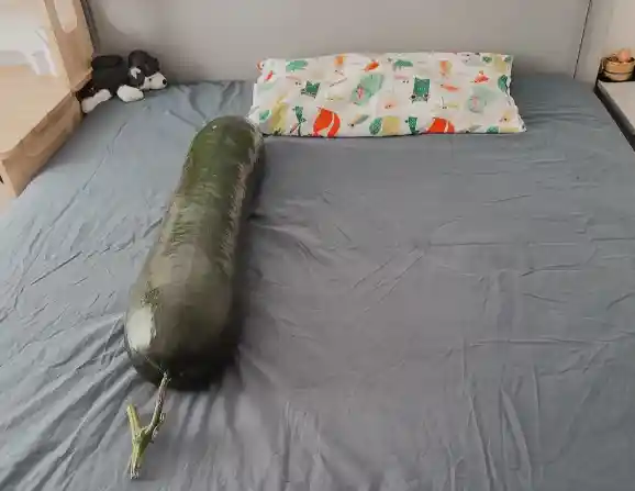 冬瓜躺平式睡法爆火，医生却急了：这类人千万别效仿！