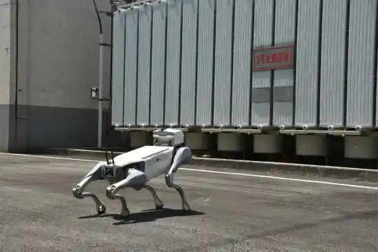 酷暑迎战！机器狗+无人机+大模型联手保供电，科技新势力刷新电力守护方式