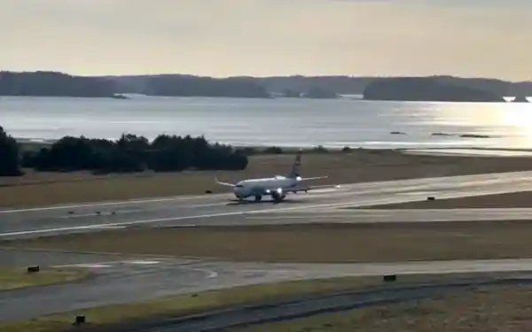 波音客机降落惊现鹿祸？跑道惊魂瞬间撞死数只野生动物