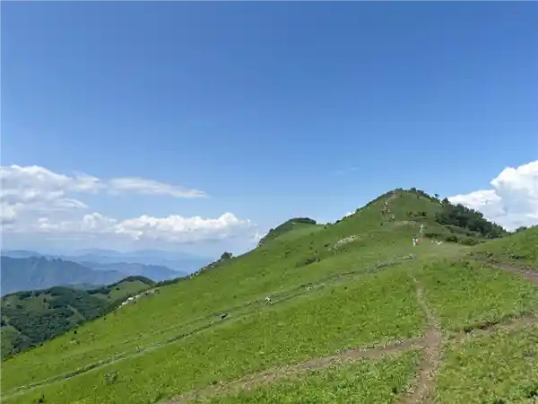 万人涌上山头：北京这座山被‘薅秃’了