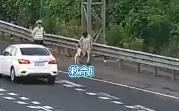 高速应急道变狗厕？司机停车铲屎引热议：应急车道真是万能应急？