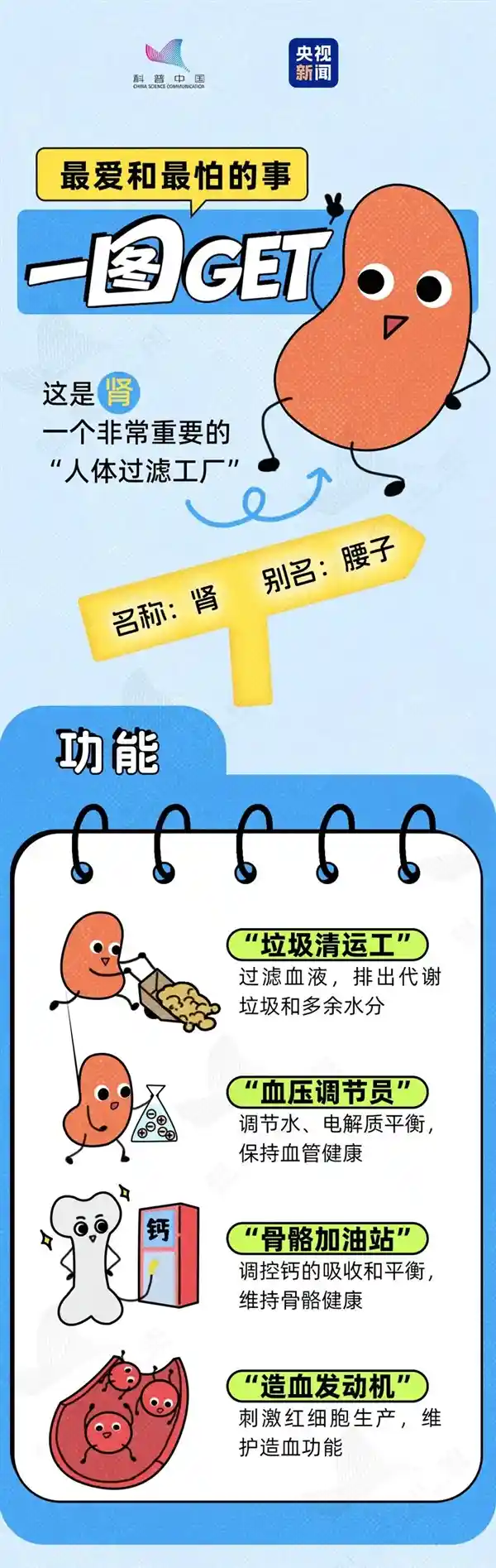 透支的肾无法回血！这6个日常习惯正在悄悄毁肾，你中了几个？